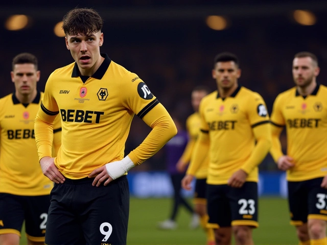 Wolverhampton Wanderers fall 2-0 to Crystal Palace, sink to bottom of Premier League